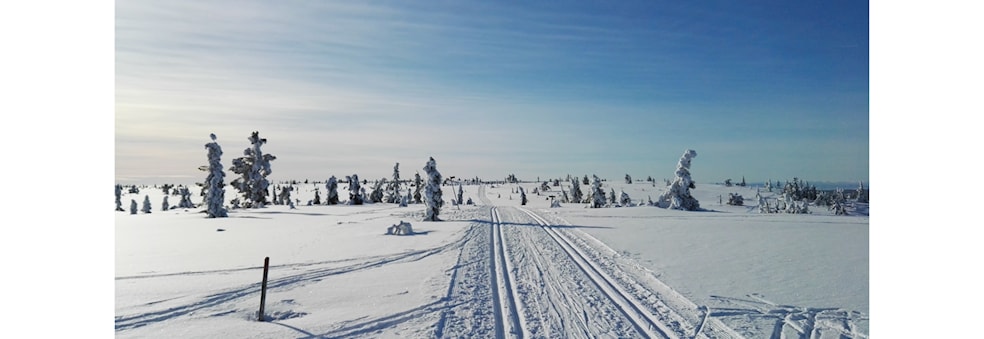 Ti på topp vinter 2022/2023